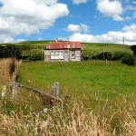 Kiwiana 2