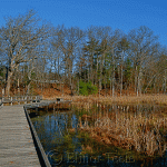 Broadmoor, South Natick MA 1