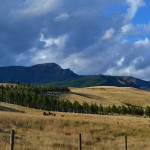Deer Farm, Central Otago, New Zealand