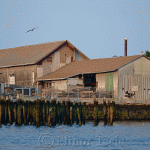 Waterfront, Gloucester MA