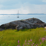 Ipswich Bay in August