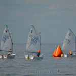 Junior Olympics 41