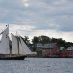 Gloucester Schooner Festival 2012 (14)