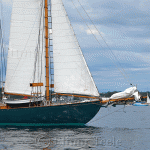 Gloucester Schooner Festival 2012 (22)