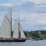 Gloucester Schooner Festival 2012 (26)
