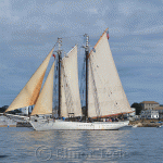 Gloucester Schooner Festival 2012 (32)