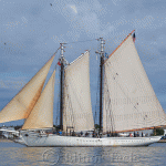 Gloucester Schooner Festival 2012 (33)