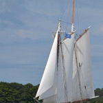 Gloucester Schooner Festival 2012 (48)