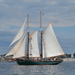 Gloucester Schooner Festival 2012 (50)