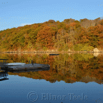 Lobster Cove in October, Annisquam MA
