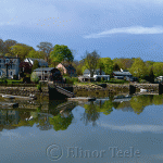 Lobster Cove in Spring, Annisquam MA 1