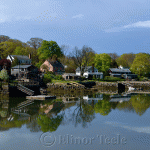 Lobster Cove in Spring, Annisquam MA 2