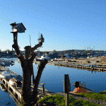 Smith Cove, Gloucester MA 1