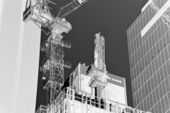 squam-creative-teele-melbourne-abstract-cranes