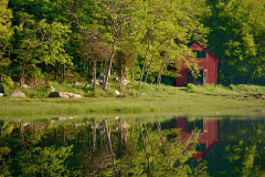 Head of the Cove