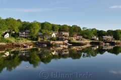 Cove in June