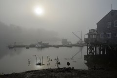 Fog #1