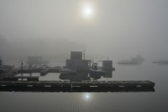 Fog #2
