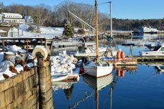 Winter Reflections