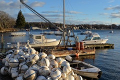 Buoys, Crane & Tree