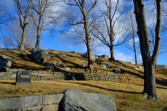 January Sunshine 1