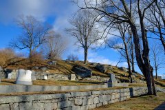 January Sunshine 2