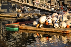 Market Docks
