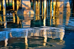 AYC Reflections 1