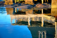AYC Reflections 2