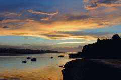 AYC Sunset 3