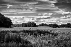 Hills & Fields