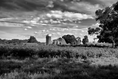 Milking Barn in August