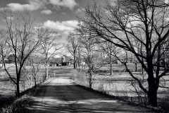Quiet Afternoon 3