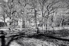 Quiet Afternoon 4