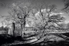 Quiet Afternoon 5