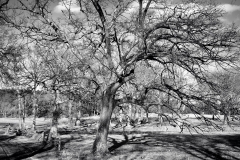 Quiet Afternoon 6