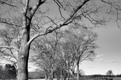 Quiet Afternoon 7