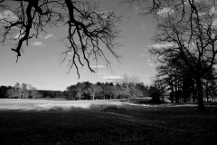 Quiet Afternoon 8