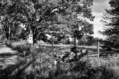 Stone Wall