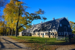 Dairy Barn