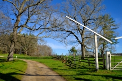 Early May 1