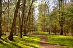 Early May 3