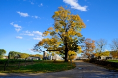 Blue Skies in October