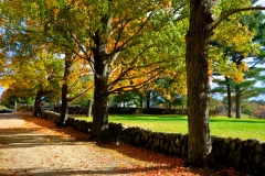 Stone Wall in Fall