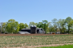 Milking Barn in May