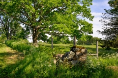 Stone Wall