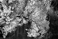 squam-creative-teele-arrow-river-spring-black-white-2