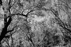 squam-creative-teele-arrow-river-spring-black-white-3