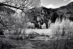 squam-creative-teele-arrow-river-spring-flowering-1