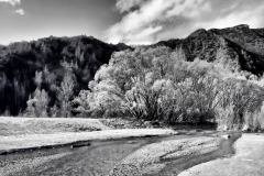 squam-creative-teele-arrow-river-spring-flowering-2